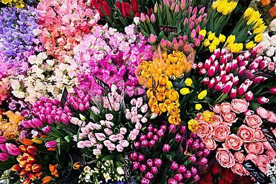 手搓自动化流水线《牧神镇物语》定档3月14日正式发售