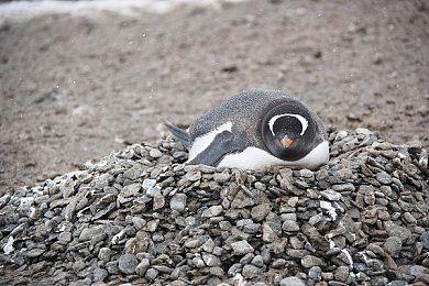 虚幻5动作RPG《Mongil：Star Dive》首曝预告片