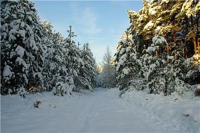 恐怖视觉小说游戏《新宿变异》上架Steam